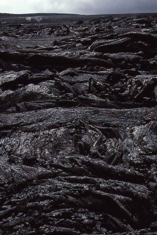 WT 0076 002-20 Hawaii.jpg